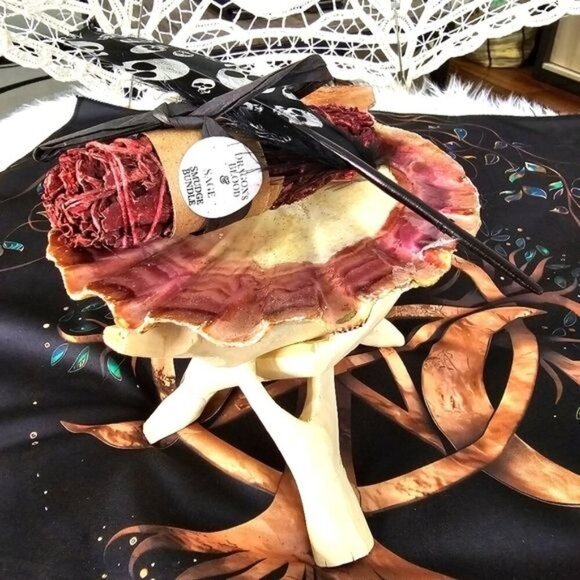 Dragon’s Blood Sage ✦ Tiger Shell ✦ Skull Feather ✦ Cleansing Smudge Set NWT - Picture 4 of 7